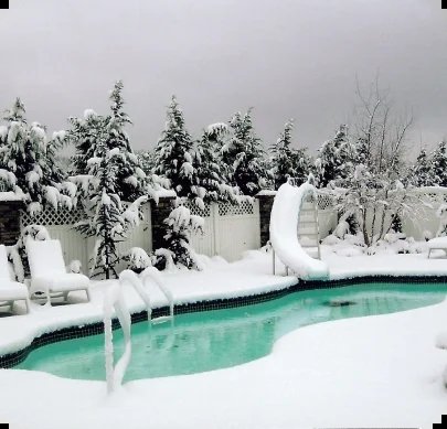 A Pool With A Slide And Snow Covered Trees
